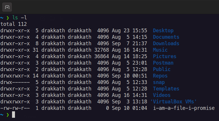 Terminal output of the "ls -l" command