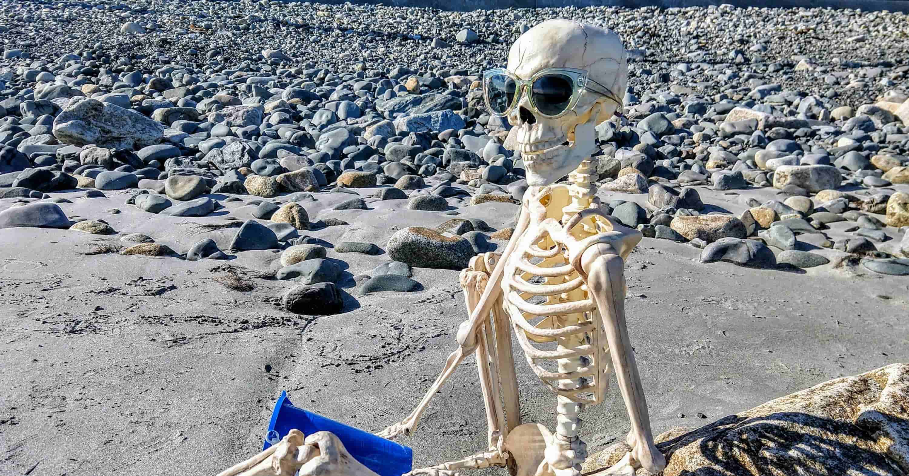 skeleton wearing sunglasses sitting on gray rocky shore during daytime